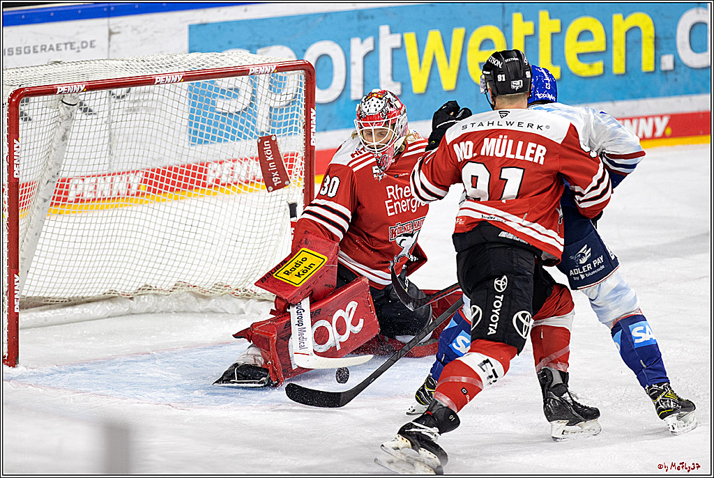 PENNY DEL;  Kölner Haie - Adler Mannheim; Köln, 04.11.2022